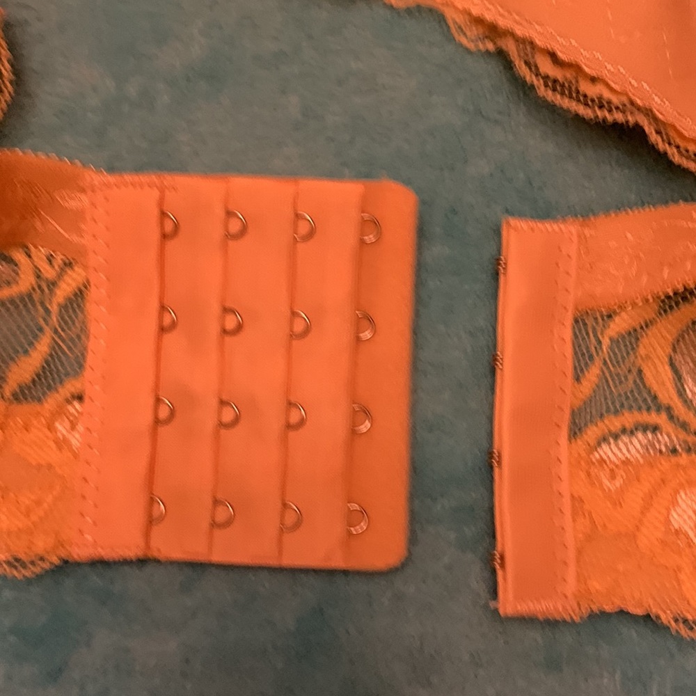 Beige lightly padded bra - Picture 5 of 5